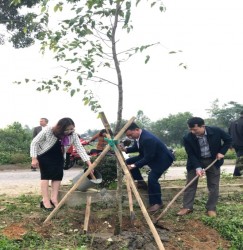 Thị xã Cửa Lò: Lan tỏa phong trào “Hàng cây nông dân ơn Bác”