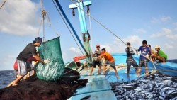 9 điều ngư dân cần biết khi ra khơi để chống đánh bắt hải sản bất hợp pháp