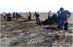 Hội Nông dân Diễn Thành:  Phối hợp với Đoàn viên công đoàn xã ra quân làm sạch môi trường Biển