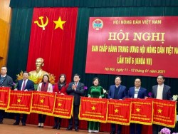 Hội Nông dân tỉnh Nghệ An được Trung ương Hội Nông dân tặng cờ thi đua xuất sắc năm 2020