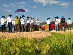 Thị xã Thái Hoà: Hội thảo mô hình cánh đồng mẫu lớn