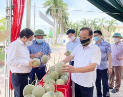 Hội Nông dân tỉnh Nghệ An kết nối tiêu thụ nông sản trong mùa dịch