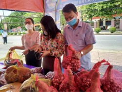 Hội Nông dân huyện Hưng Nguyên phối hợp mở gian hàng hỗ trợ nông dân tiêu thụ nông sản
