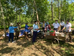 Tân Kỳ: Hội viên nông dân được tập huấn kỹ thuật sản xuất phân bón hữu cơ vi sinh