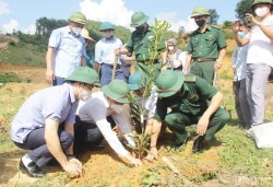 Lễ ra quân hưởng ứng chương trình trồng 1 tỷ cây xanh 'Vì một Việt Nam xanh'