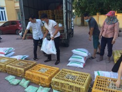 Nông dân Thành phố Vinh đẩy mạnh phát triển phong trào chăn nuôi