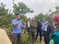 Hội Nông dân huyện Tân Kỳ: Nông dân được hướng dẫn kỹ thuật thu gom, xử lí phế phẩm nông nghiệp thành phân bón hữu cơ