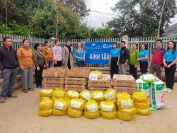 Kỳ Sơn: Hơn 100 hộ nông dân được tặng mô hình gà sinh kế  từ Quỹ từ thiện Bông Sen