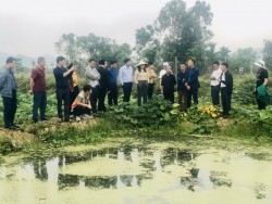 Hội viên, nông dân huyện Tương Dương tham quan học hỏi các mô hình kinh tế hiệu quả ở Yên Thành