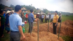 Nghệ An: 330 hội viên nông dân được tập huấn kỹ thuật xử lý rác thải hữu cơ thân thiện với môi trường