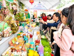 Hội Nông dân huyện Đô Lương giới thiệu nông sản tại Hội Báo Xuân Giáp Thìn 2024