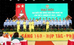 Kế hoạch thực hiện Nghị quyết số 46-NQ/TW về đổi mới, nâng cao chất lượng hoạt động của Hội Nông dân Việt Nam trên địa bàn tỉnh Nghệ An
