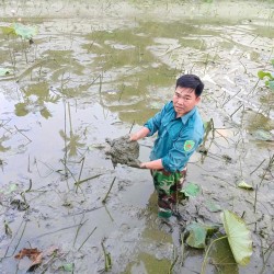 Bí quyết nuôi ba ba và thành công của một nông dân