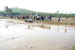 Hội Nông dân tỉnh Nghệ An tổ chức hội nghị nghe kết quả công tác hội và phong trào nông dân năm 2025, triển khai nhiệm vụ trọng tâm năm 2026