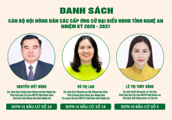 Danh sách cán bộ Hội Nông dân các cấp tham gia ứng cử đại biểu HĐND tỉnh Nghệ An nhiệm kỳ 2026 - 2031