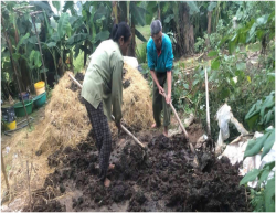 Biến phụ phẩm thành “tài nguyên”: Cách làm hiệu quả ở Lương Sơn