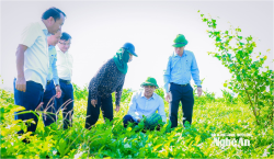 Đối thoại để kiến tạo động lực phát triển nông nghiệp