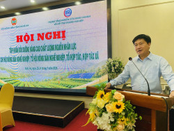 Hội Nông dân tỉnh Nghệ An: Khai mạc lớp tập huấn bồi dưỡng nâng cao chất lượng nguồn nhân lực cho các chi hội, tổ hội nông dân nghề nghiệp, hợp tác xã