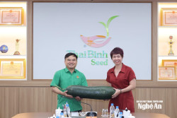 Khi hạt giống "mở đường" cho hạt gạo