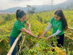 Linh hoạt kiện toàn hội nông dân sau sáp nhập thôn, xóm, bản