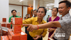 Lãnh đạo tỉnh khảo sát mô hình phát triển dược liệu dưới tán rừng tại xã Con Cuông