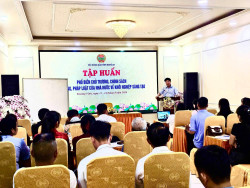 Hội Nông dân tỉnh Nghệ An: Trang bị kiến thức, kỹ năng cho hội viên, nông dân trong xây dựng và phát triển các ý tưởng, dự án khởi nghiệp