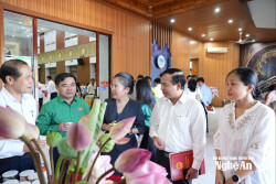 Nghệ An bàn giải pháp phát triển dược liệu bền vững