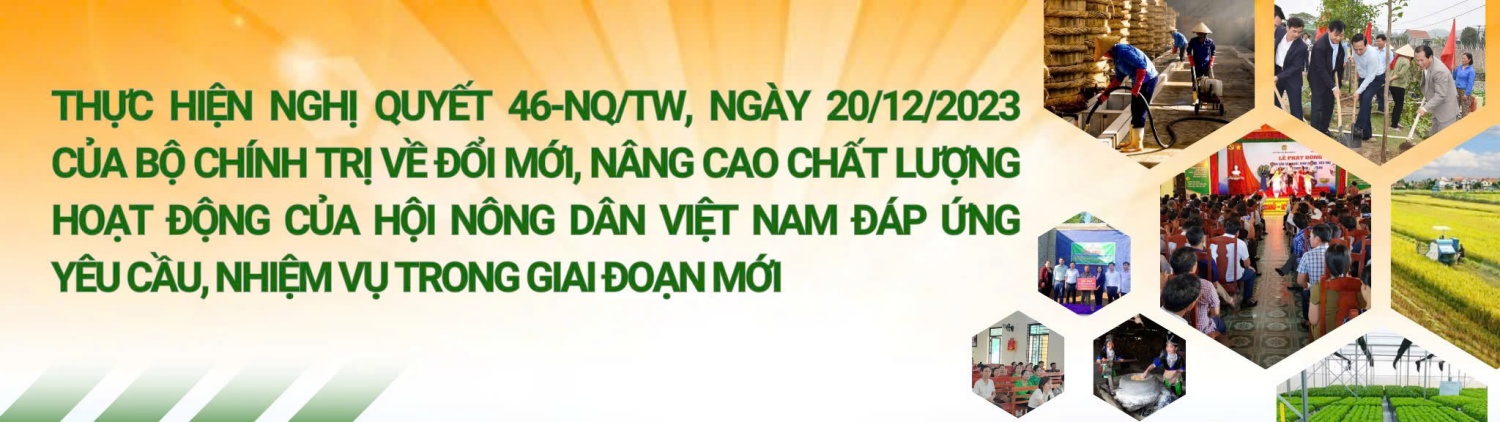 nghị quyết 46