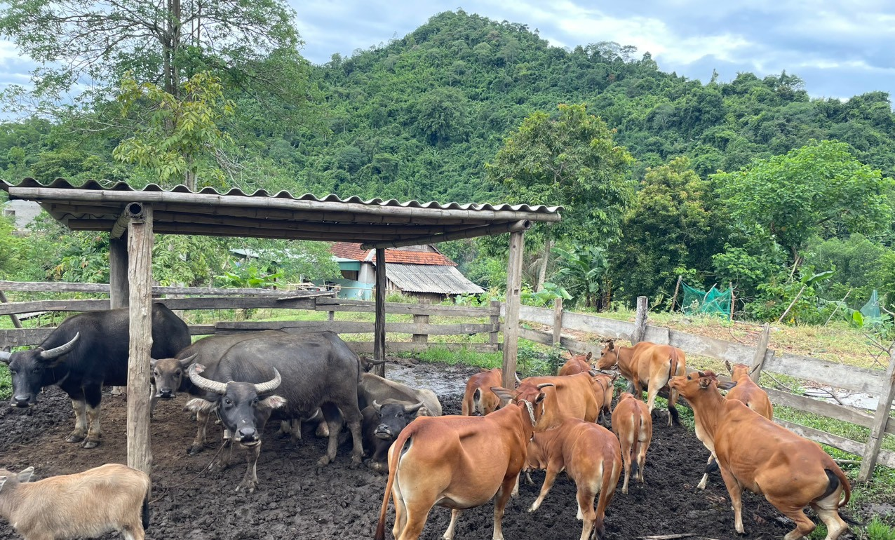 mo hinh ho lo dinh dung tai ban ke tat xa thach ngan