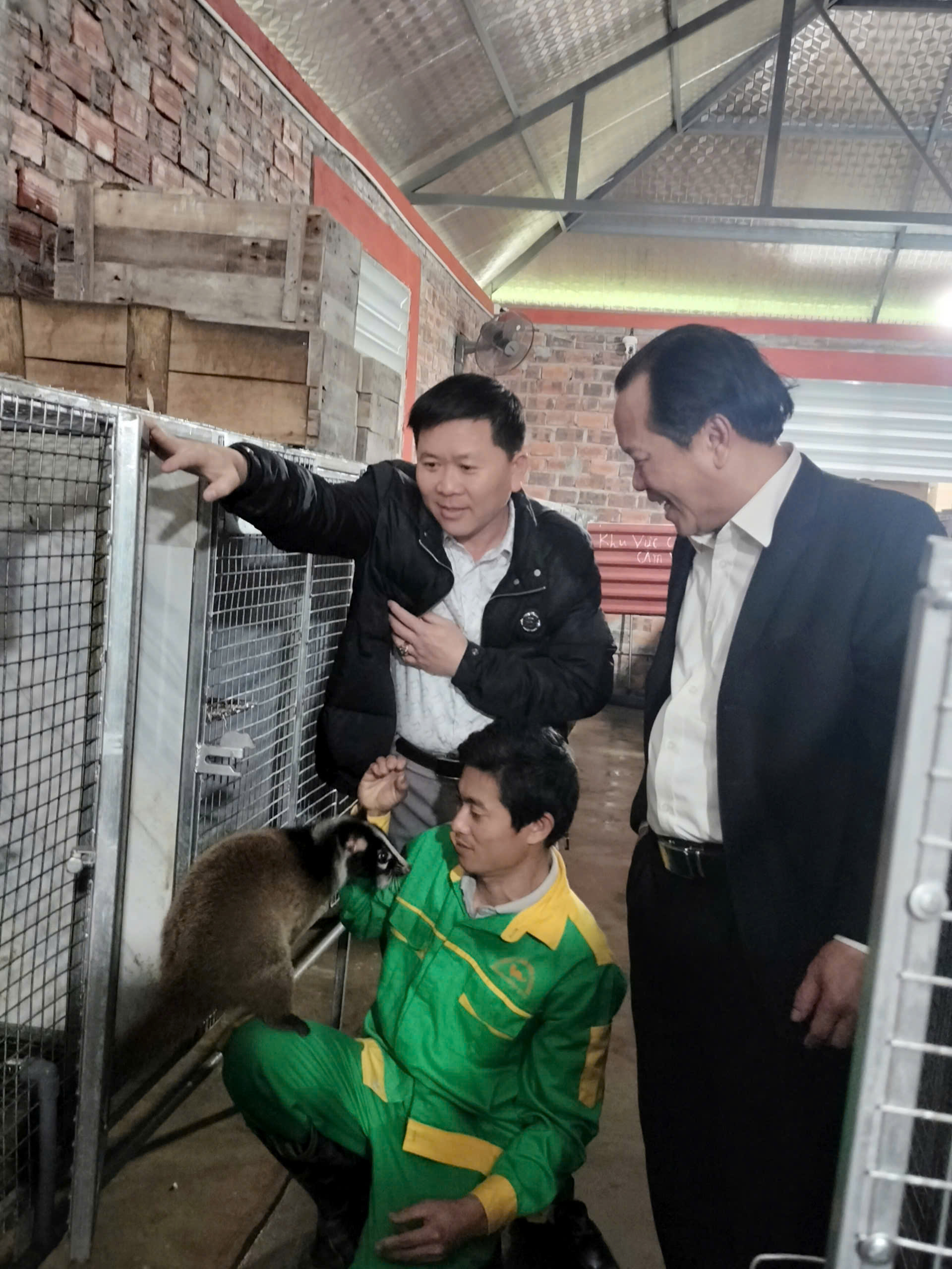 t47 anh thai cho biet cay voi moc sau mot thoi gian nuoi se quen va than thien voi nguoi cham soc