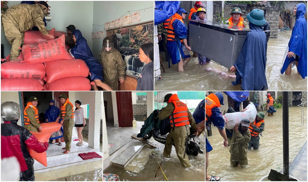 images2041955 gen n c ng an c c x v n an quang th nh t n ch u n l c di d i ng i d n v t i s n n a i m an to n2