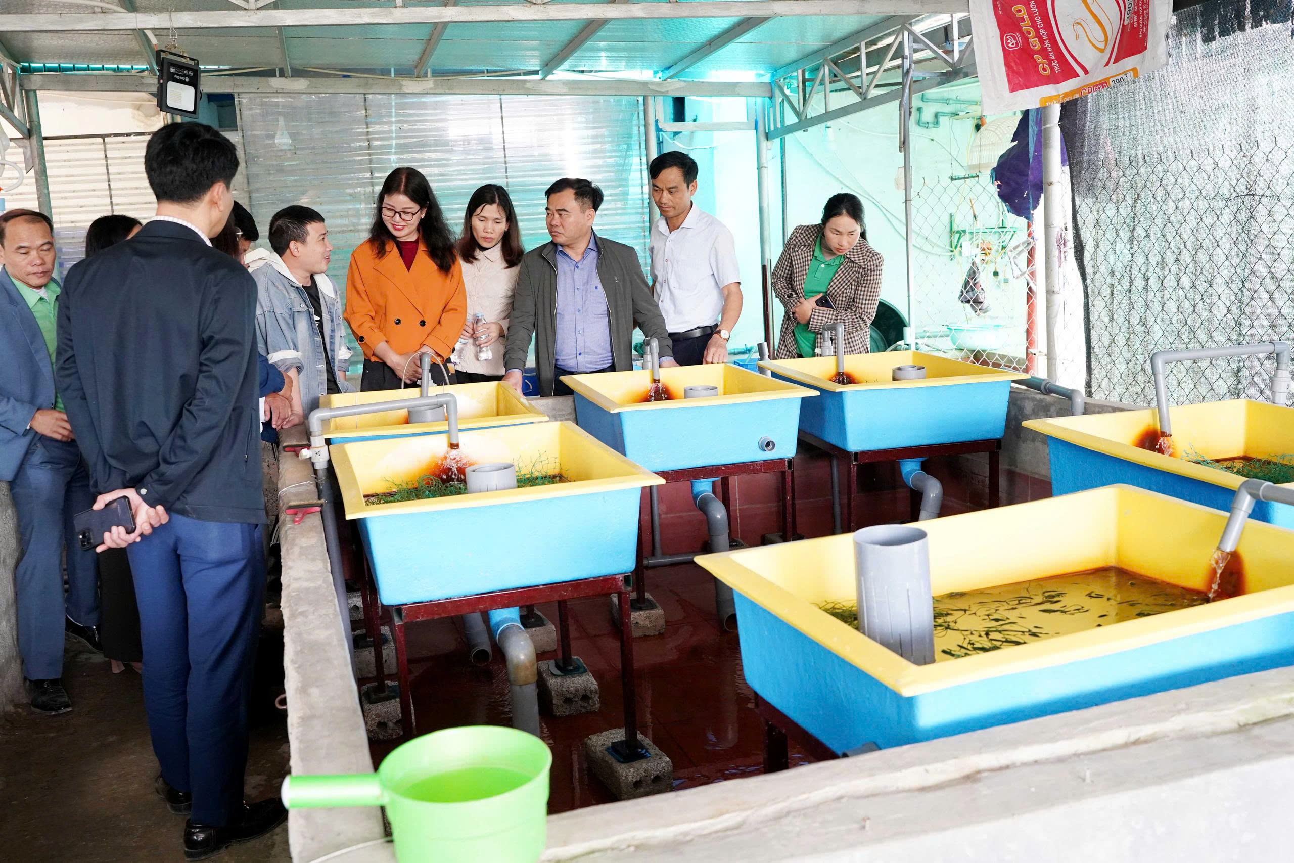 z7427753781184 ba46e7c9c0bf7573e88610083495f833