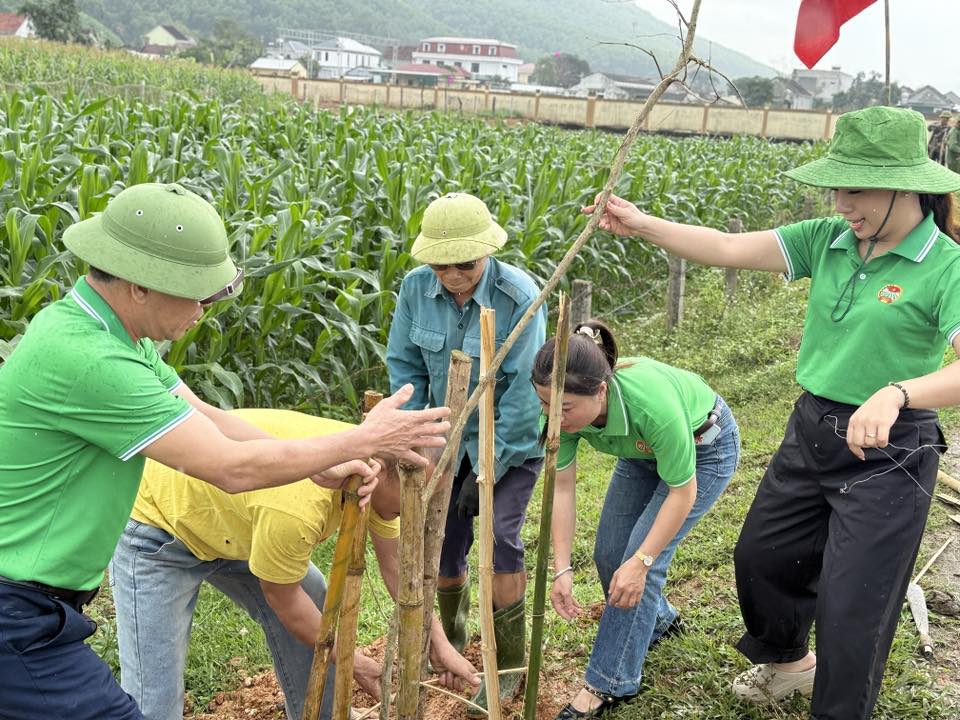 641488184 122160152216926557 3088799451769394588 n