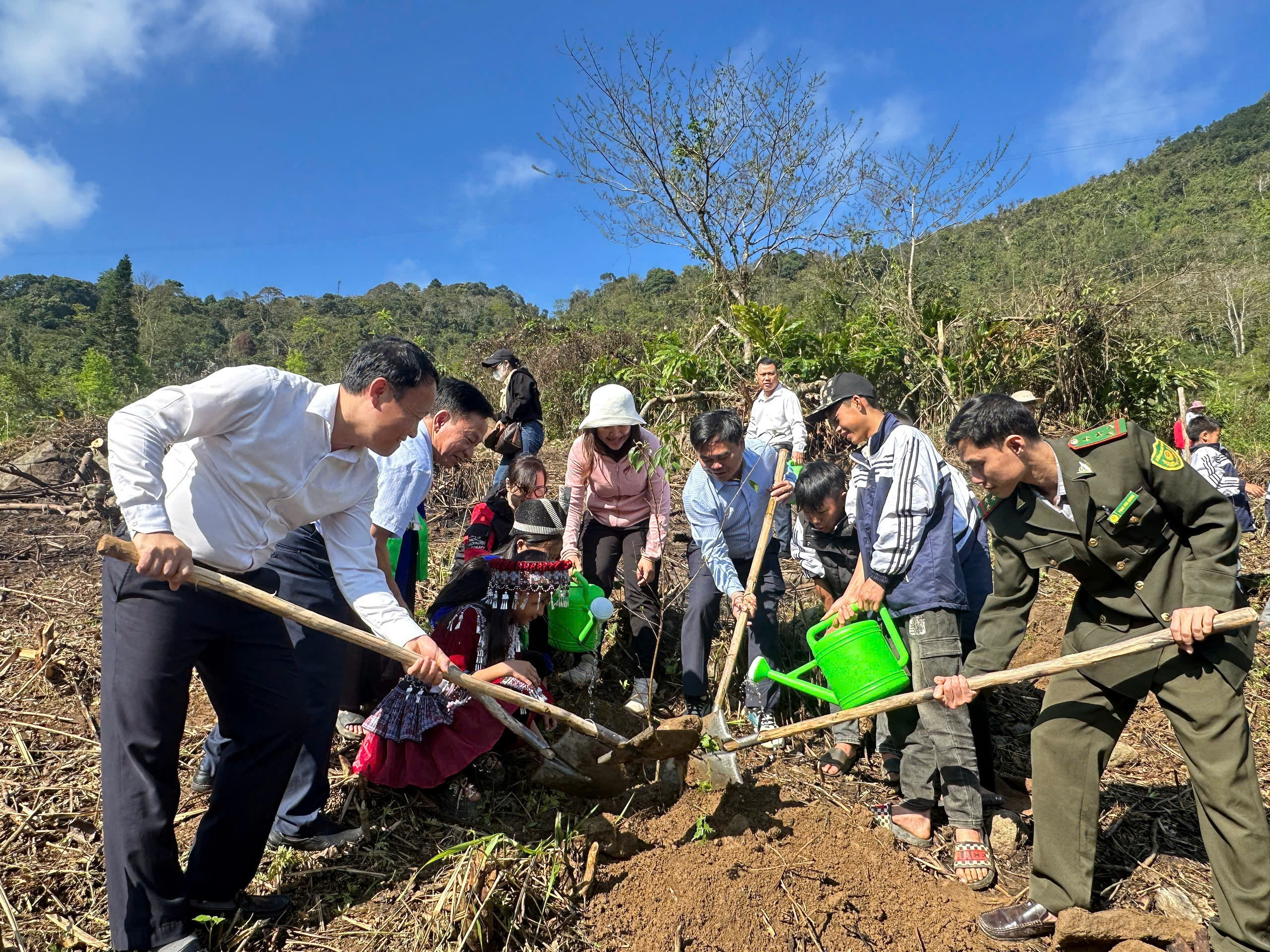 66d68e713ca2b2fcebb3