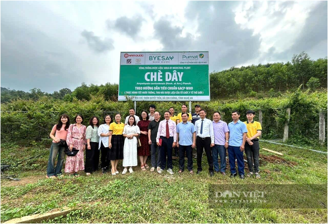 che day duoc trong o xa con cuong tinh nghe an theo nhung tieu chuan khat khe cua gacp who