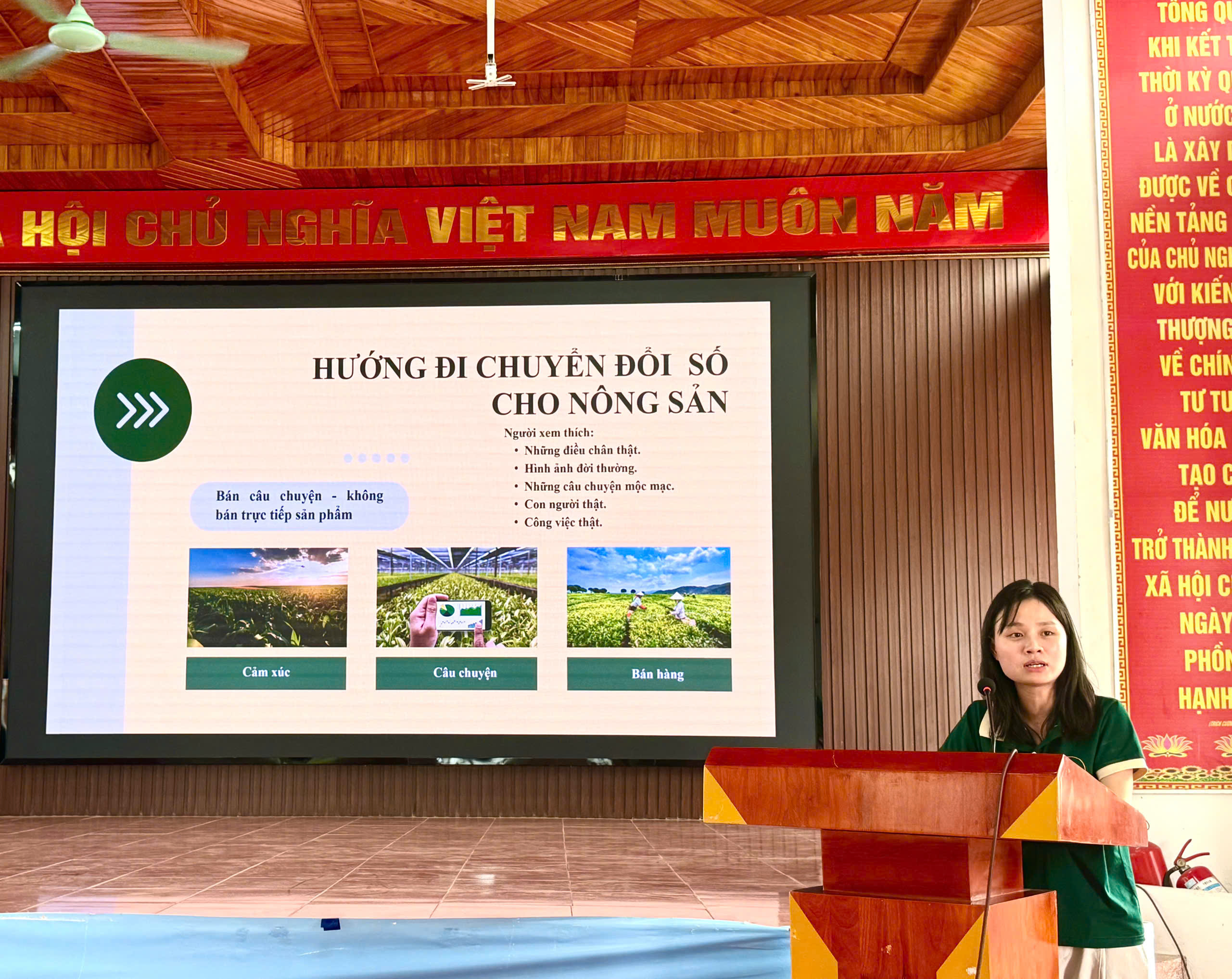 dc dang thi ngoc ha