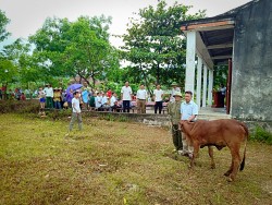 Quỳnh Lưu: “Ngân hàng bò” bà đỡ giúp nông dân thoát nghèo