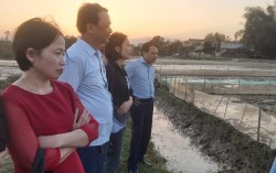 Lãnh đạo Hội Nông dân tỉnh thăm cánh đồng rươi ở Hưng Nguyên.