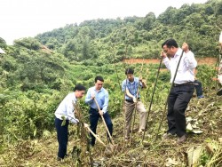 Hội Nông dân huyện Kỳ Sơn: Tổ chức lễ phát động trồng cây ơn Bác