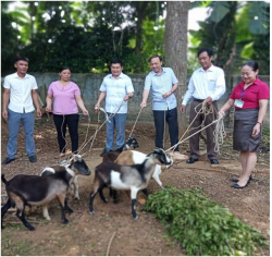 Trung tâm HTND&GDNN Hội Nông dân tỉnh: Trao Dê giống sinh sản tại thị xã Thái Hoà