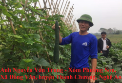 Nông dân phát triển kinh tế từ nguồn vốn vay Ngân hàng chính sách xã hội