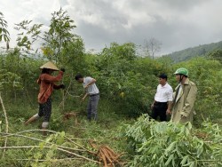 Hội Nông dân huyện Anh Sơn kiểm tra, nắm bắt tình hình thiệt hại và động viên hội viên trước tình hình mưa lớn đang diễn ra