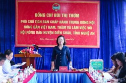 Đoàn công tác Trung ương Hội Nông dân Việt Nam thăm và làm việc tại huyện Diễn Châu