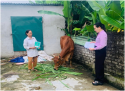 Ngân hàng Chính sách xã hội điểm tựa vững chắc giúp nông dân phát triển kinh tế, giảm nghèo làm giàu bền vững