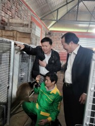 Nuôi cầy vòi mốc - mô hình kinh tế mới ở Nghĩa Lợi