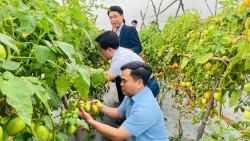 Hội Nông dân tỉnh làm việc với Hội Nông dân 8 xã thuộc huyện Diễn Châu cũ