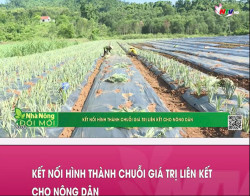 Kết nối hình thành chuỗi giá trị liên kết cho nông dân