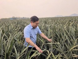 Nghệ An đánh thức tiềm năng dược liệu trong thời kỳ mới