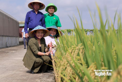 Phó Bí thư Tỉnh ủy Võ Thị Minh Sinh tham quan mô hình nông nghiệp công nghệ cao tại Tập đoàn ThaiBinh Seed