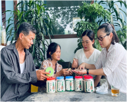 Đưa tam thất Nam thành sản phẩm Ocop